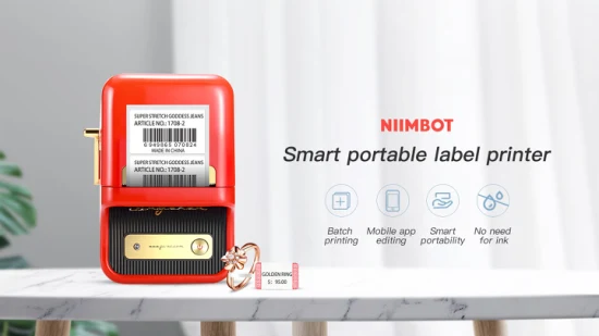 Niimbot B21 tragbarer Mini-Barcode-Etikettendrucker für Schmuck-Thermoaufkleber